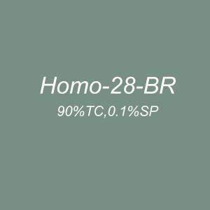 Homo-28-BR