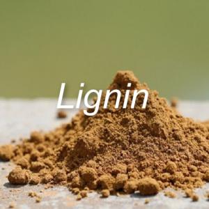 Lignin